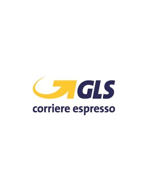 13216 Spedizione Corriere Espresso GLS per acquisti eBay