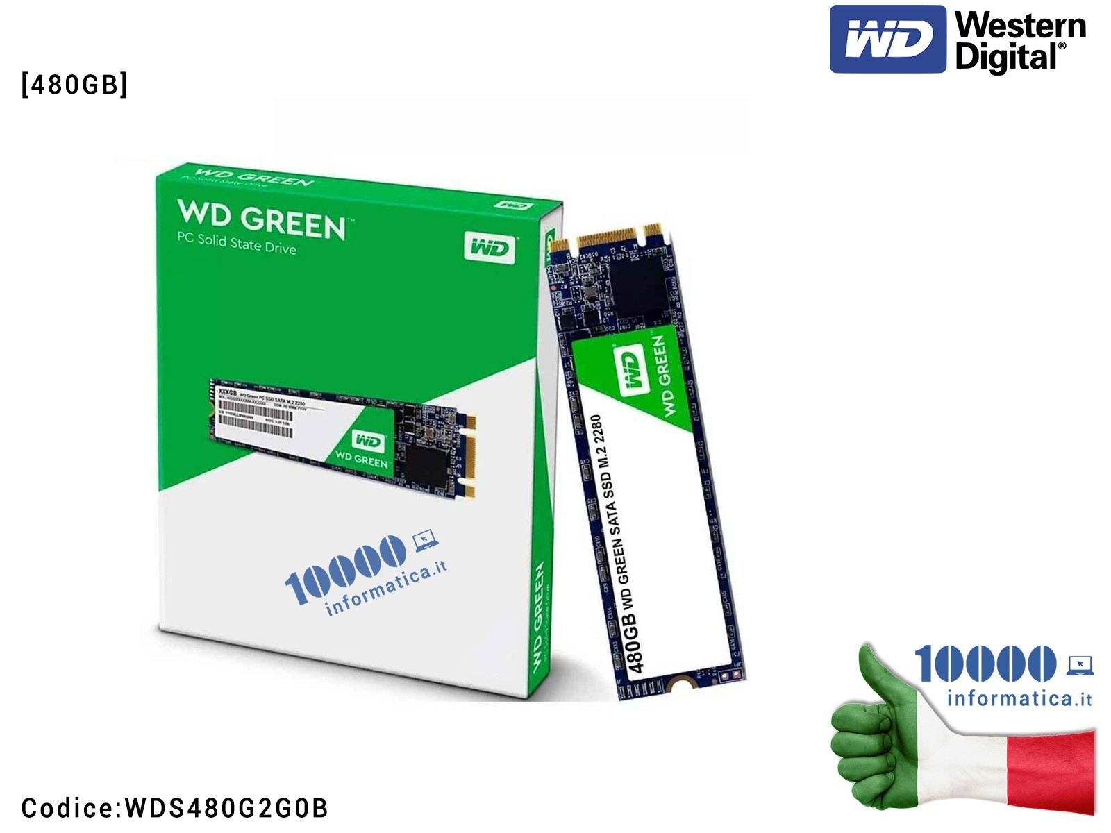 WDS480G2G0B HARD DISK SSD M.2 2280 SATA3 INTERNO 480 GB WD GREEN 3D WDS480G2G0B HDD M2 PCI A STATO SOLIDO WDS480G2G0B HARD DISK SSD M.2 2280 SATA3 INTERNO 480 GB WD GREEN 3D WDS480G2G0B HDD M2 PCI A STATO SOLIDO