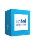 INTEL Processor 300 box