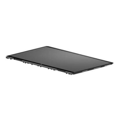 M45013-001 HP Display panel