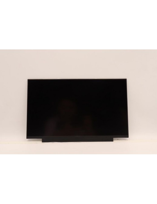 5D11B48759 Lenovo 14.0-inch FHD IPS display panel 300 nits brightness 45% color gamut anti-glare I2C interface compatible with L