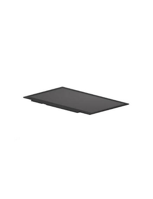 L44534-001 HP Display panel (raw) 813958