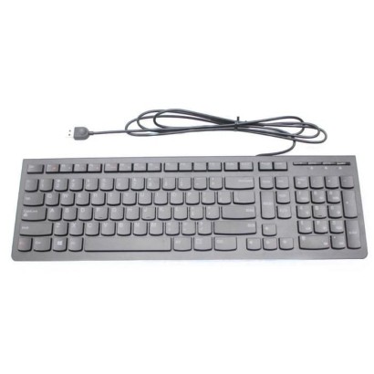 25209128-RFB Lenovo Wired Tastiera Keyboard USB black