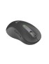 910-006239 Logitech Left, Logi Bolt / Bluetooth, 5 buttons, 400 - 2000 dpi, AA, 10 m, 65.63 x 118.19 x 41.52 mm, 111.2 g, L, Gra