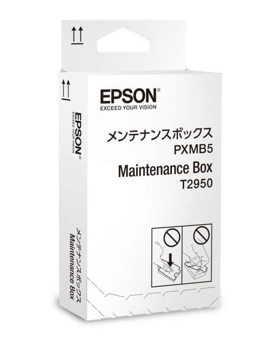 C13T295000 Epson WorkForce WF-100W Maintenance Box