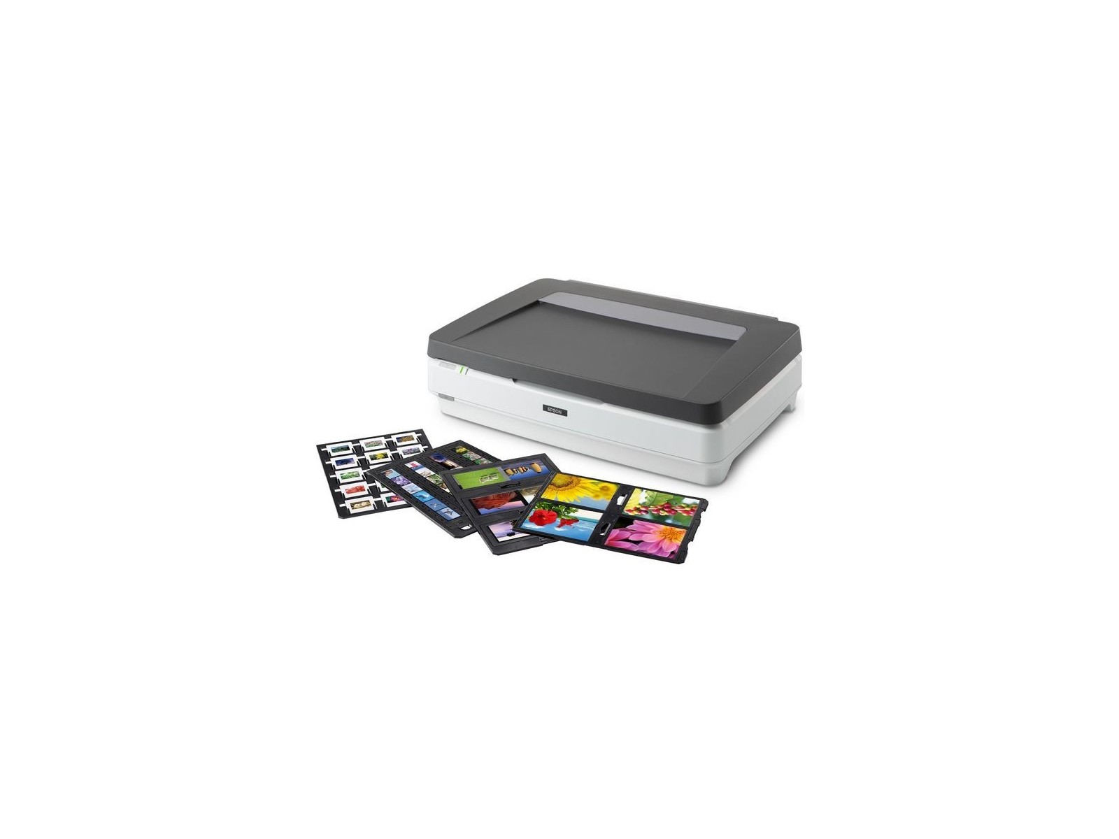 B11B257401BT Epson Expression 13000Xl Pro Flatbed Scanner 2400 X 4800 Dpi A3 Grey, White B11B257401BT Epson Expression 13000Xl Pro Flatbed Scanner 2400 X 4800 Dpi A3 Grey, White